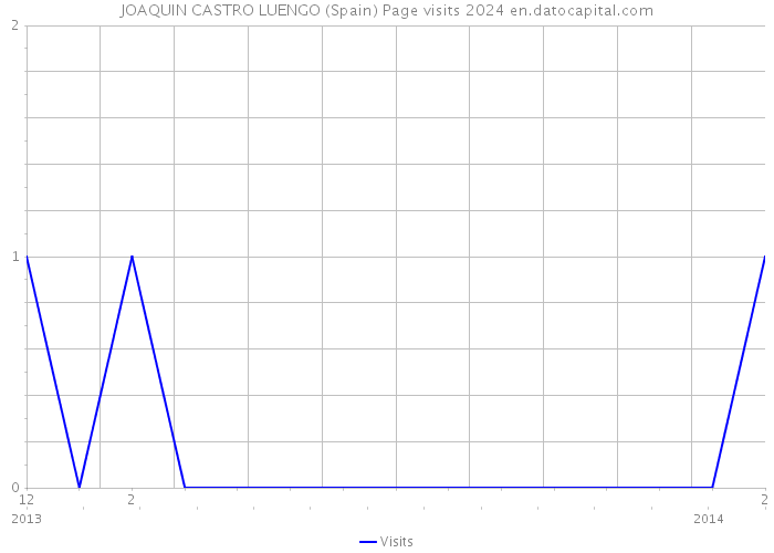 JOAQUIN CASTRO LUENGO (Spain) Page visits 2024 