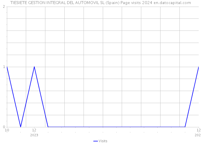 TIESIETE GESTION INTEGRAL DEL AUTOMOVIL SL (Spain) Page visits 2024 