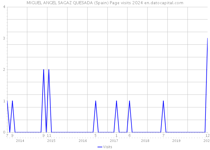 MIGUEL ANGEL SAGAZ QUESADA (Spain) Page visits 2024 