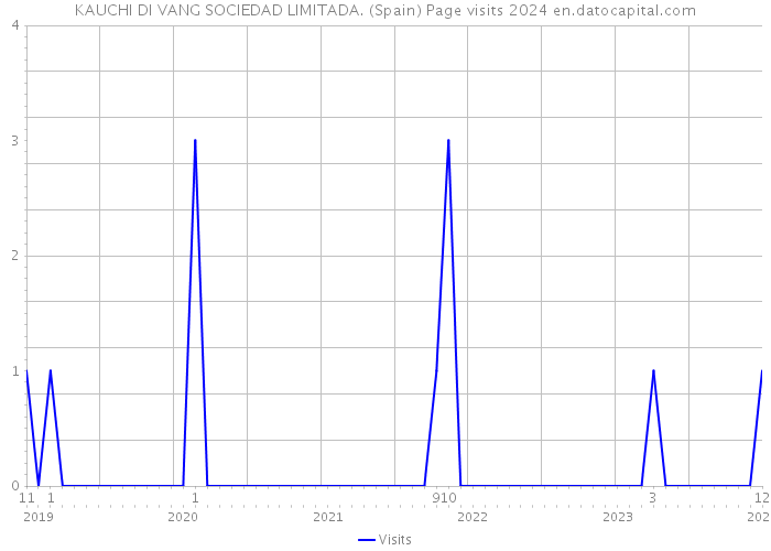 KAUCHI DI VANG SOCIEDAD LIMITADA. (Spain) Page visits 2024 
