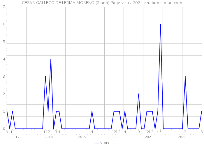 CESAR GALLEGO DE LERMA MORENO (Spain) Page visits 2024 