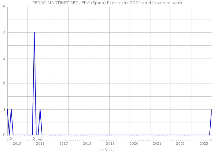 PEDRO MARTINEZ REGUERA (Spain) Page visits 2024 