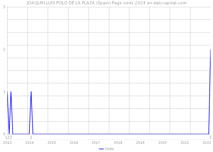 JOAQUIN LUIS POLO DE LA PLAZA (Spain) Page visits 2024 