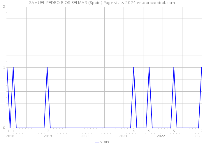 SAMUEL PEDRO RIOS BELMAR (Spain) Page visits 2024 
