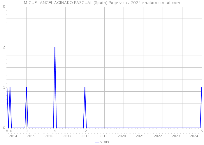 MIGUEL ANGEL AGINAKO PASCUAL (Spain) Page visits 2024 