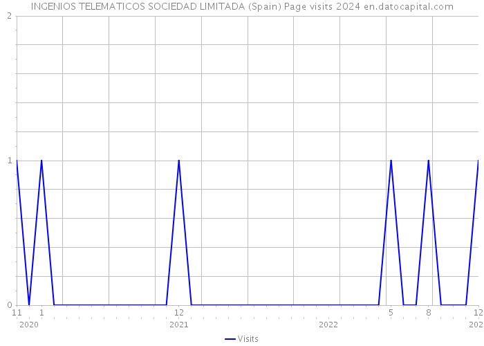 INGENIOS TELEMATICOS SOCIEDAD LIMITADA (Spain) Page visits 2024 