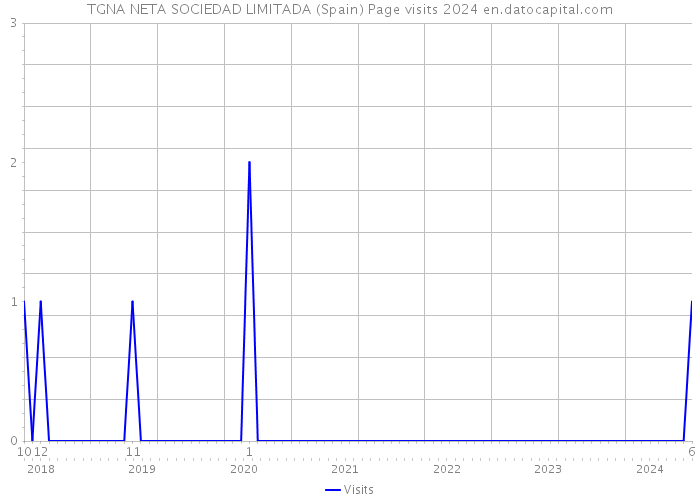 TGNA NETA SOCIEDAD LIMITADA (Spain) Page visits 2024 