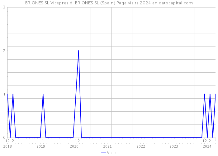 BRIONES SL Vicepresid: BRIONES SL (Spain) Page visits 2024 
