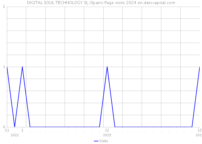 DIGITAL SOUL TECHNOLOGY SL (Spain) Page visits 2024 