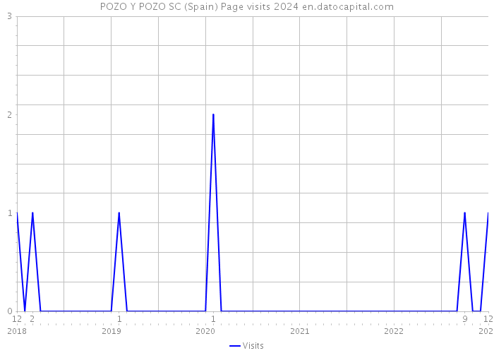 POZO Y POZO SC (Spain) Page visits 2024 