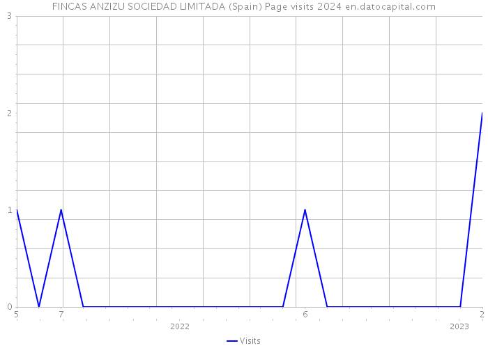 FINCAS ANZIZU SOCIEDAD LIMITADA (Spain) Page visits 2024 