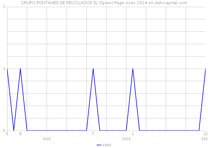 GRUPO PONTANES DE RECICLADOS SL (Spain) Page visits 2024 