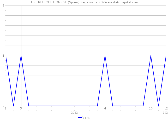 TURURU SOLUTIONS SL (Spain) Page visits 2024 