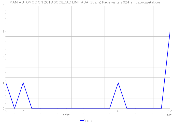 MAM AUTOMOCION 2018 SOCIEDAD LIMITADA (Spain) Page visits 2024 