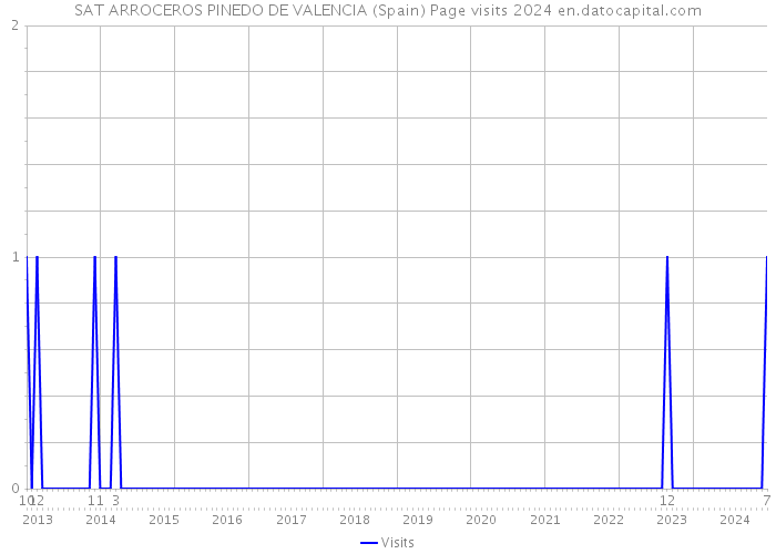 SAT ARROCEROS PINEDO DE VALENCIA (Spain) Page visits 2024 
