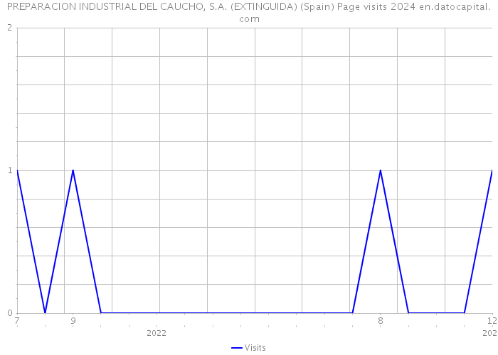 PREPARACION INDUSTRIAL DEL CAUCHO, S.A. (EXTINGUIDA) (Spain) Page visits 2024 