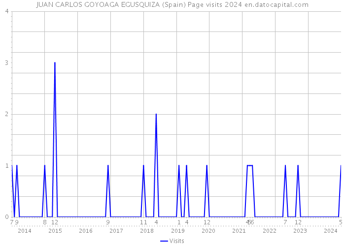 JUAN CARLOS GOYOAGA EGUSQUIZA (Spain) Page visits 2024 