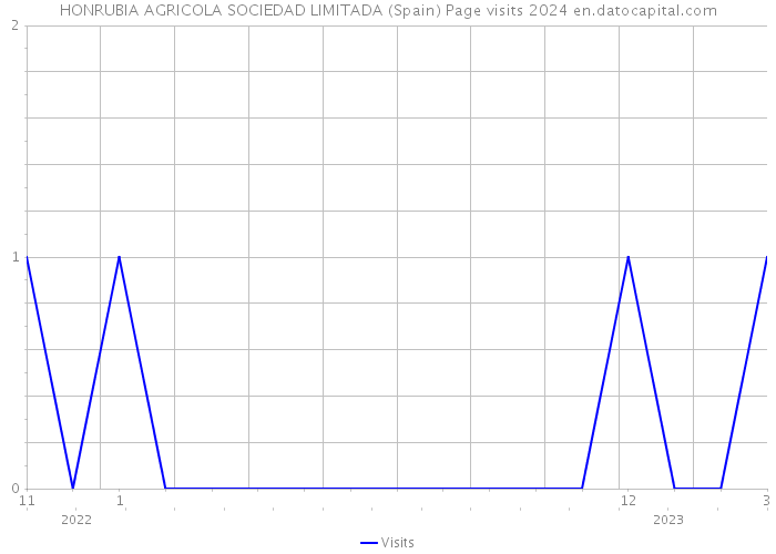 HONRUBIA AGRICOLA SOCIEDAD LIMITADA (Spain) Page visits 2024 