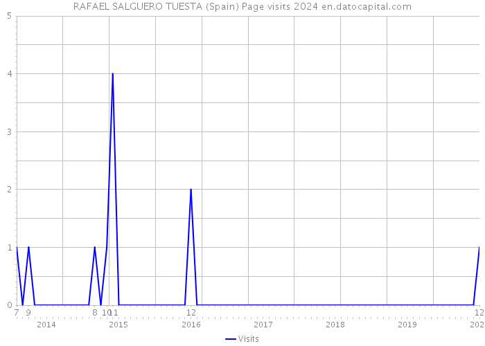 RAFAEL SALGUERO TUESTA (Spain) Page visits 2024 