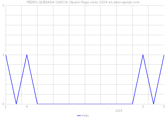 PEDRO QUESADA GARCIA (Spain) Page visits 2024 
