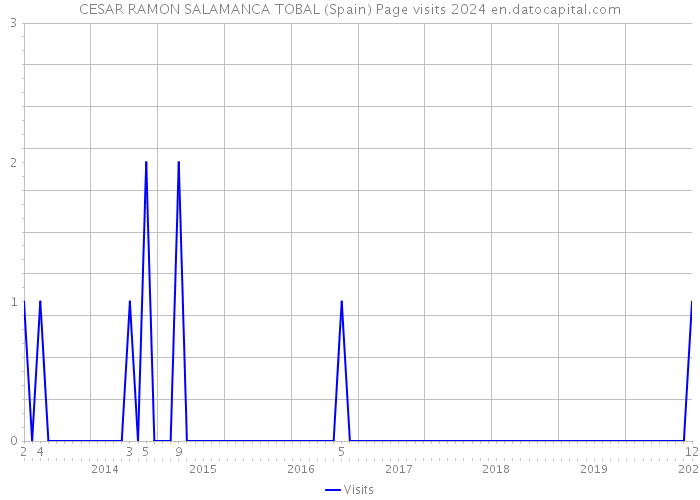 CESAR RAMON SALAMANCA TOBAL (Spain) Page visits 2024 