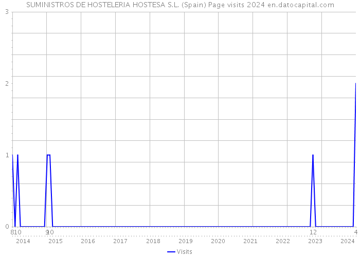 SUMINISTROS DE HOSTELERIA HOSTESA S.L. (Spain) Page visits 2024 