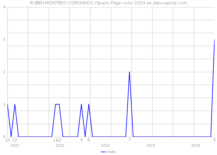 RUBEN MONTERO CORONADO (Spain) Page visits 2024 