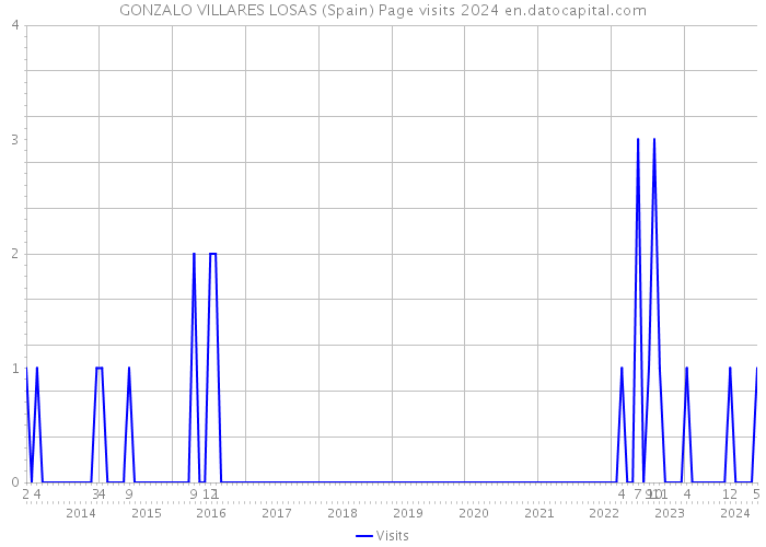 GONZALO VILLARES LOSAS (Spain) Page visits 2024 