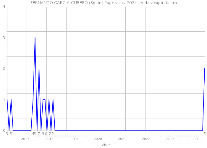 FERNANDO GARCIA CURERO (Spain) Page visits 2024 