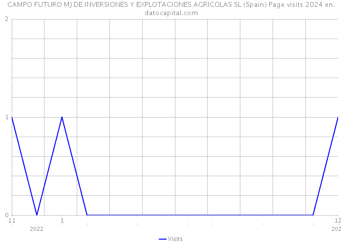 CAMPO FUTURO MJ DE INVERSIONES Y EXPLOTACIONES AGRICOLAS SL (Spain) Page visits 2024 