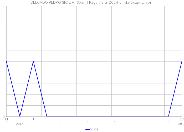 DELGADO PEDRO SICILIA (Spain) Page visits 2024 