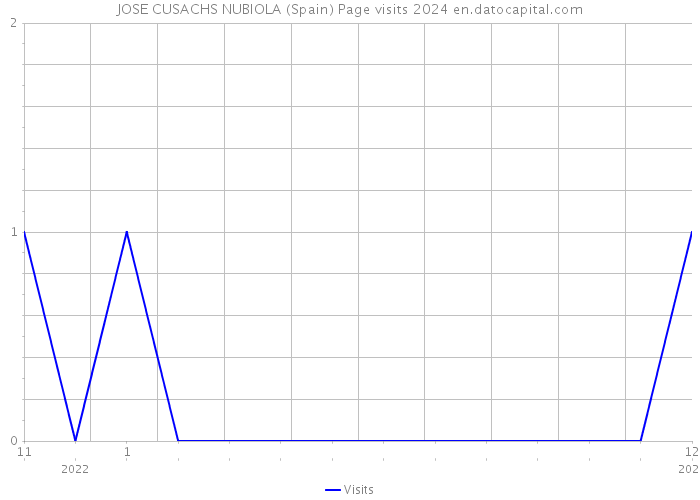 JOSE CUSACHS NUBIOLA (Spain) Page visits 2024 