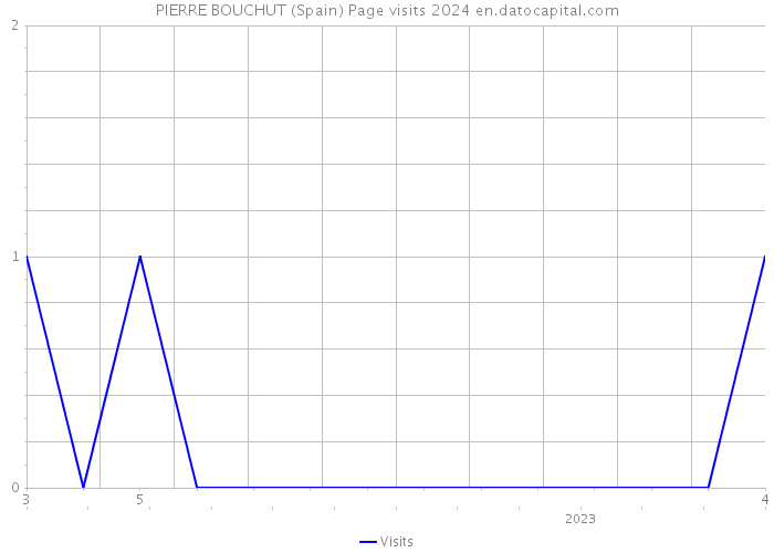 PIERRE BOUCHUT (Spain) Page visits 2024 