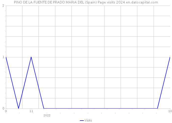 PINO DE LA FUENTE DE PRADO MARIA DEL (Spain) Page visits 2024 