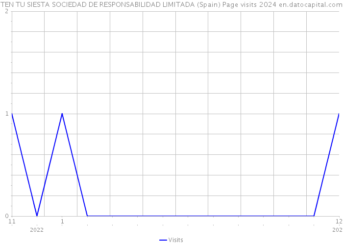 TEN TU SIESTA SOCIEDAD DE RESPONSABILIDAD LIMITADA (Spain) Page visits 2024 