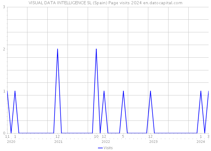 VISUAL DATA INTELLIGENCE SL (Spain) Page visits 2024 