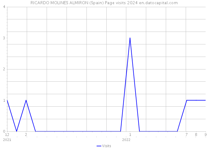 RICARDO MOLINES ALMIRON (Spain) Page visits 2024 