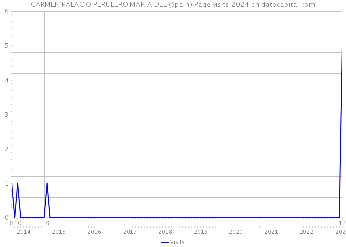 CARMEN PALACIO PERULERO MARIA DEL (Spain) Page visits 2024 