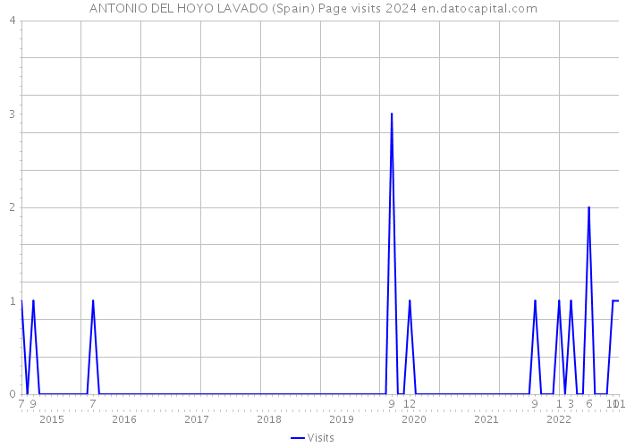 ANTONIO DEL HOYO LAVADO (Spain) Page visits 2024 