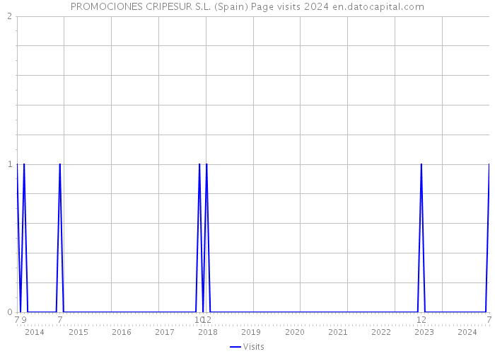 PROMOCIONES CRIPESUR S.L. (Spain) Page visits 2024 