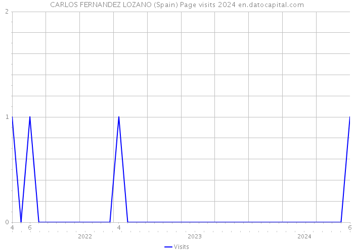 CARLOS FERNANDEZ LOZANO (Spain) Page visits 2024 