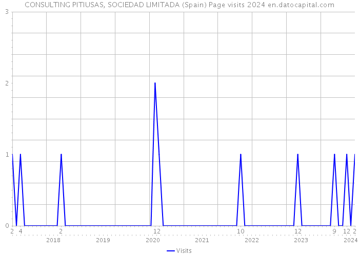 CONSULTING PITIUSAS, SOCIEDAD LIMITADA (Spain) Page visits 2024 