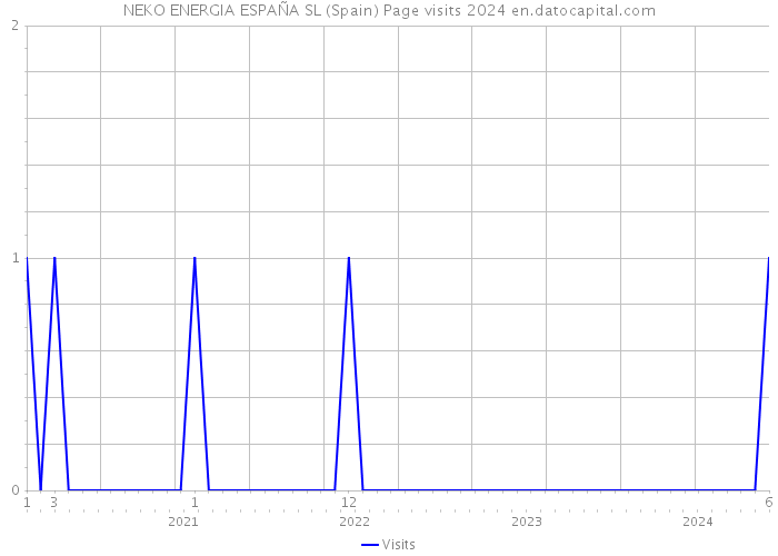 NEKO ENERGIA ESPAÑA SL (Spain) Page visits 2024 
