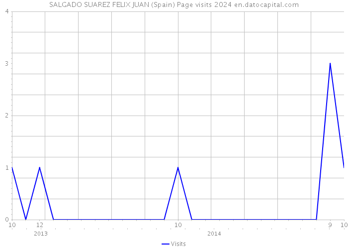 SALGADO SUAREZ FELIX JUAN (Spain) Page visits 2024 