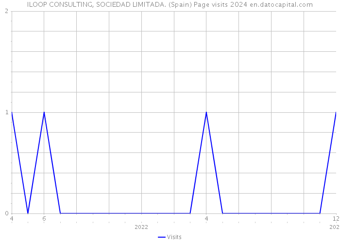 ILOOP CONSULTING, SOCIEDAD LIMITADA. (Spain) Page visits 2024 