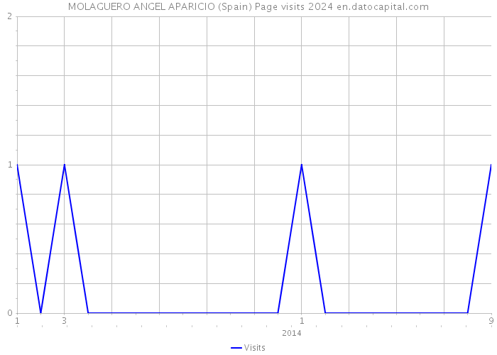MOLAGUERO ANGEL APARICIO (Spain) Page visits 2024 
