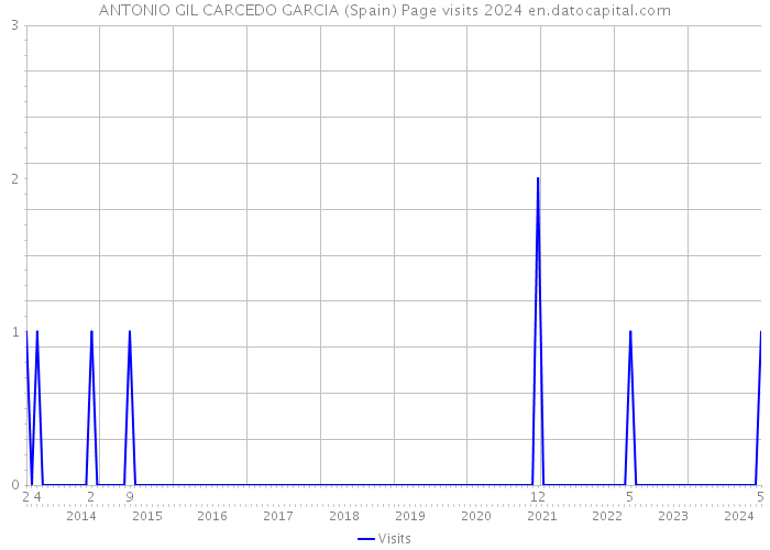 ANTONIO GIL CARCEDO GARCIA (Spain) Page visits 2024 