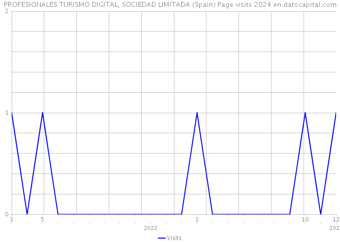 PROFESIONALES TURISMO DIGITAL, SOCIEDAD LIMITADA (Spain) Page visits 2024 
