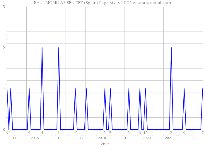 RAUL MORILLAS BENITEZ (Spain) Page visits 2024 