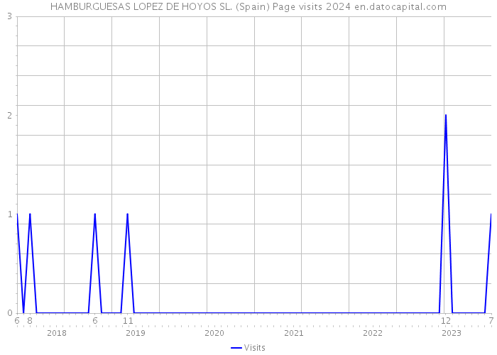 HAMBURGUESAS LOPEZ DE HOYOS SL. (Spain) Page visits 2024 